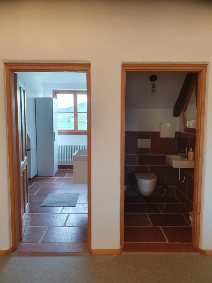 Gutshof Seenland Apartment Seekirchen am Wallersee Bagian luar foto